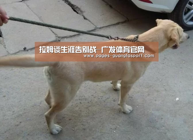 拉姆谈生涯告别战-广发体育官网(图3) 广发体育app
