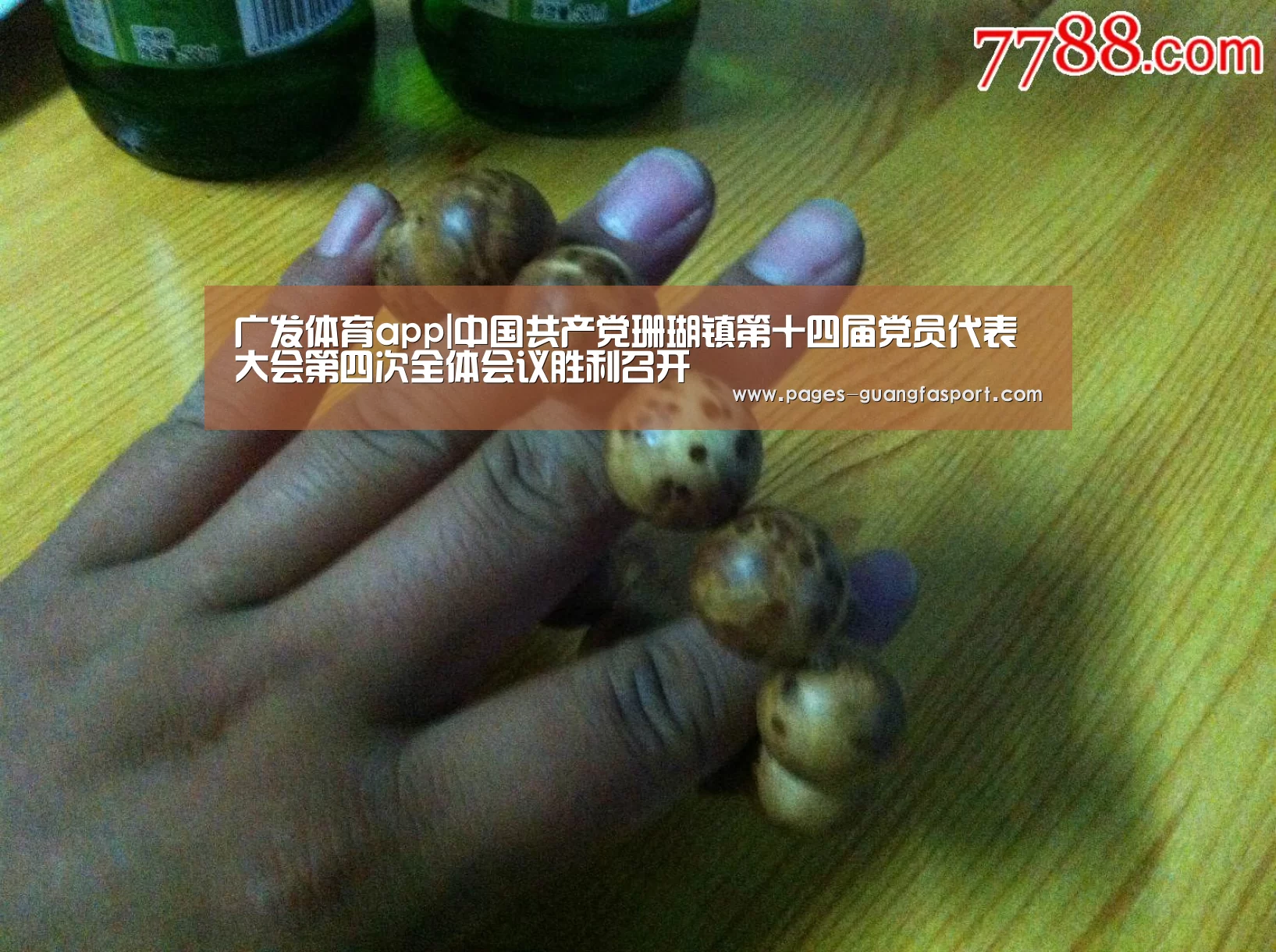 广发体育app|中国共产党珊瑚镇第十四届党员代表大会第四次全体会议胜利召开(图1) 广发体育
