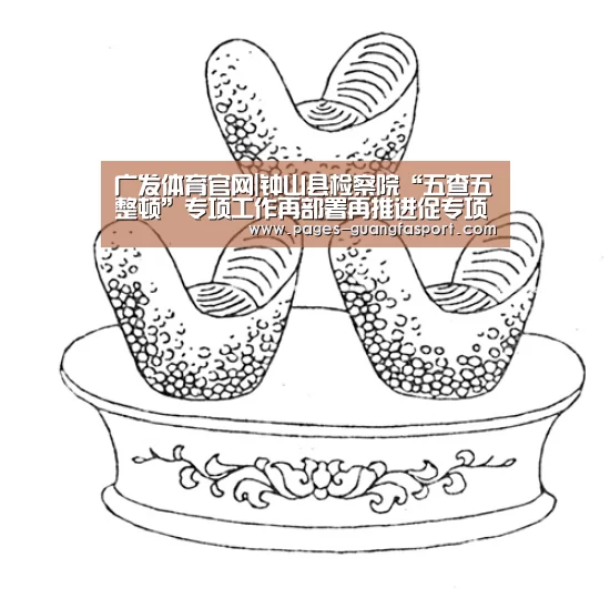 广发体育官网|钟山县检察院“五查五整顿”专项工作再部署再推进促专项行动显新成效(图1) 广发体育