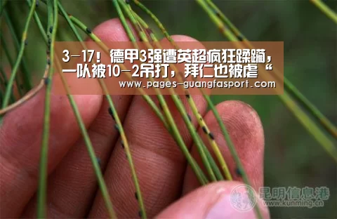 3-17!德甲3强遭英超疯狂蹂躏,一队被10-2吊打,拜仁也被虐“广发体育app”(图3) 广发体育
