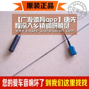 【广发体育app】唐先程深入乡镇调研脱贫攻坚工作(图1) 广发体育app